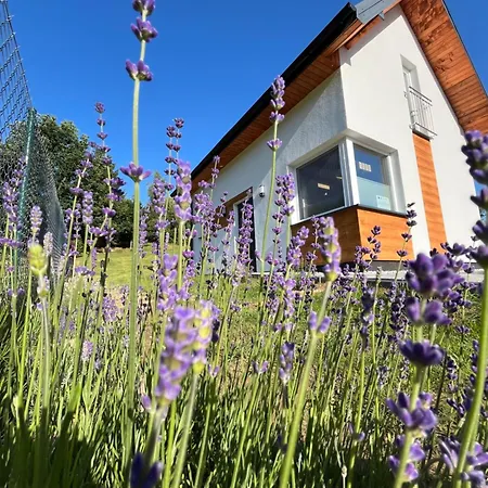 Semesterbostad „domek W Lawendach”