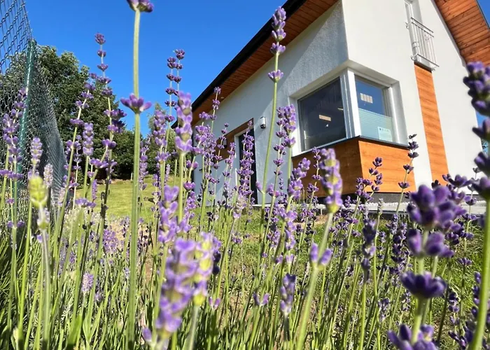 Hébergement de vacances „domek W Lawendach”